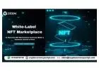 White Label NFT Marketplace - To Start a business Within a short  time