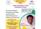 Disease Cure Yoga, Daily Fitness Yoga, Yoga Teacher Training Course 