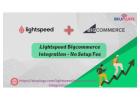 Lightspeed Bigcommerce Integration - No Setup Fee