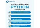 CodeSquadz Python Training: Unlock Your Coding Potential