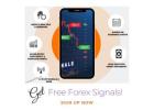 Ready to Trade Forex Like a Pro