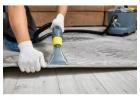 Carpet Cleaning Werribee: Fresh & Spotless Carpets
