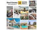 Real Estate Company in Noida - Noida Realty