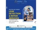 Quick and Accurate Leakage Detection in Vadodara 