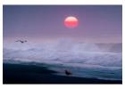 Exclusive Beach Photography Wall Art to Enhance Your Living Space