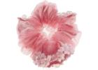 Bridal hair accessories | glamourgirlz.co.uk
