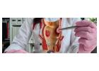 Anal Fistula Treatment in Bangalore