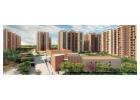 Ashiana Aaroham Sector 80 - Residential Property Gurgaon