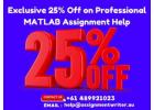 Exclusive 25% Off on Professional MATLAB Assignment Help