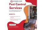 Best Pest Control Services in SR Nagar | Hyderabad