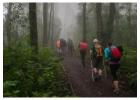 Hiking Kilimanjaro | Trek Africa’s Tallest Peak for an Unforgettable Adventure