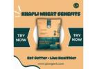 Buy Organic Khapli Wheat – Boost Health with Nutrient-Rich Ancient Grain