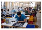 Start-Up Scheme: Empowering Entrepreneurs to Build Successful Businesses
