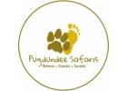 Unrivaled Indian Tiger Safaris by Pugdundee Safaris