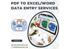 Best PDF to Excel/Word Data Entry Services in India