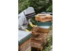 Refubees Bee Swarm Trap – Durable, Reusable & Easy to Use