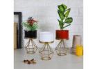 Elevate Your Greenery with Chic & Sturdy Plant Stands – Dusaan