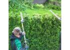 Keep Your Lawn Pristine with Our Fall Leaf Removal Service