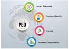 PEO Companies in India