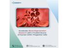 Accelerate Blood Regeneration Research with a Trusted Source of Human CD34+ Progenitor Cells