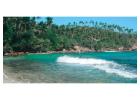Sri Lanka Holiday Packages – A Paradise of Culture & Nature