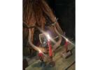 (░+27672740459░)Africa Bring Back Lost Love Spells⭅░ & Money Rituals, Magic Witchcraft.