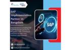 SAP Implementation Partner in