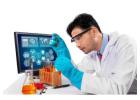 Innovative Western Blotting Protein Assays for Accurate Findings!