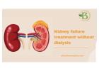 Bharat Homeopathy: Enhancing Kidney Function Naturally with Homeopathic Treatment