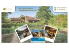 Best Places to Stay in Bandhavgarh National park