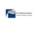 Work with a Skilled Management Consulting Professional