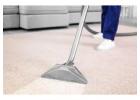 Reliable Carpet Cleaning South Yarra: True Carpet Cleaning