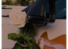 Toronto Wedding Limousine