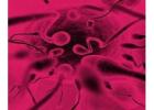  TopRated IVF Centre & Infertility Clinic in Bangalore