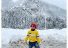 Viz Travels is the best travel agency in Noida