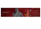 Allopathic and Natural Medicines for Long-Term Performance Health