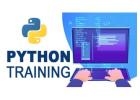 Boost Your Programming Skills with CodeSquadz Python training in Noida