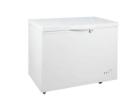 deep freezer on rent for a day