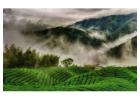 Ooty Tour Packages