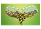 Plant Based Medicine | Zenda Healthcare