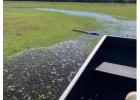 Explore the Everglades on the Best Airboat Rides Orlando