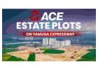Ace Estate Plots Yamuna Expressway | The Nestory