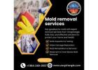 Mold removal companies Hillsborough
