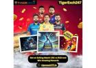 TigerExch247: Your Trusted Betting Platform for Big Wins
