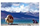 Travel to Lhasa by Train