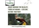 Group Booking for Wildlife Tours in Panama – Explore Nature Together!