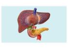 Expert Liver and Pancreas Care in Ludhiana