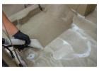 Couch Cleaning Services in Ashgrove: Squeaky Clean Sofa