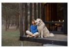 Pet-Friendly Homestay in Nainital – A Perfect Getaway for You & Your Furry Friend