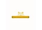 Buy a Puppy from Dream Schnauzer Puppies Home Today